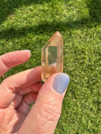 Citrien Lemurian 12