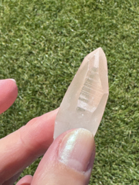 Peach Lemurian 18