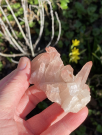 Pink Lemurian - cluster 5