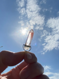 Pink Lemurian Hangertje 1