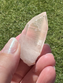 Peach Lemurian 18