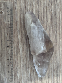 Lemurian Code Keeper of Transformation / UV Amethist Lemurian Root 5