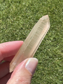 Peach Lemurian 13