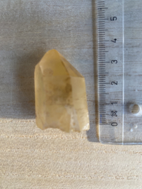 Tangerine Lemurian 25