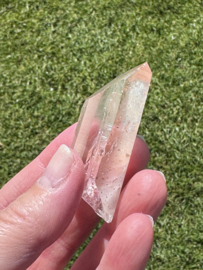 Peach Lemurian 7