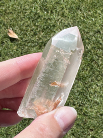 Peach Lemurian 5