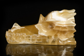 Dragon skull yellow calcite 12 cm