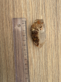 Lemurian (Red Coated) Dreamtime Healers 6