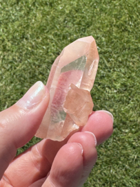 Peach Lemurian 12 - met key