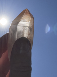 Peach Lemurian 6
