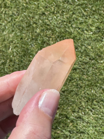 Peach Lemurian 6