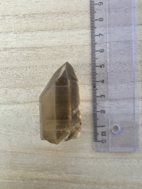Citrien Lemurian 6