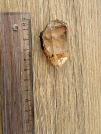 Lemurian (Red Coated) Dreamtime Healers 10