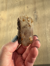 Lemurian (Red Coated) Dreamtime Healers 1