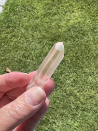 Peach Lemurian 22
