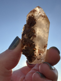 Lemurian (Red Coated) Dreamtime Healers 6