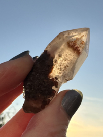 Lemurian (Red Coated) Dreamtime Healers 9