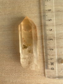 Tangerine Lemurian 10