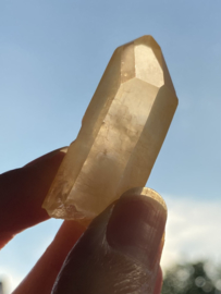 Tangerine Lemurian 20