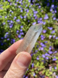 Citrien Lemurian 8