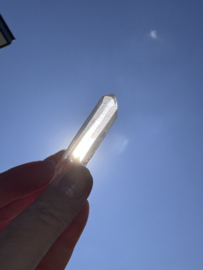 Peach Lemurian 22