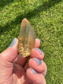 Citrien Lemurian 6
