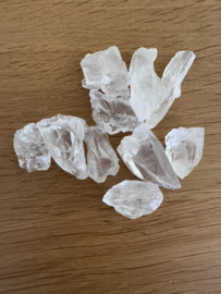 Medium Lemurian Root / Code Keeper of Freedom 3-5 cm