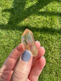 Citrien Lemurian 14
