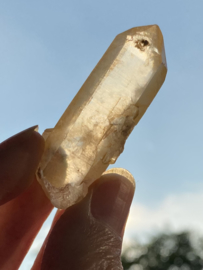 Tangerine Lemurian 15