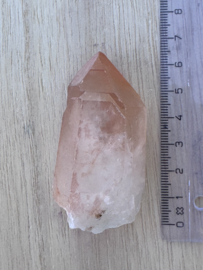 Peach Lemurian 6