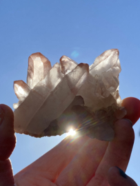 Pink Lemurian - cluster 3