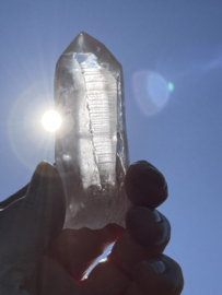 Peach Lemurian 5