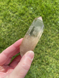 Citrien Lemurian 2