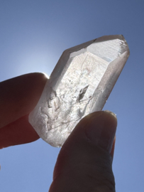 Peach Lemurian 17
