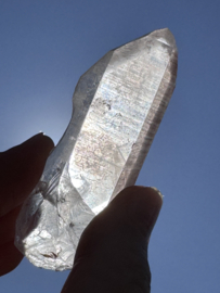 Peach Lemurian 2
