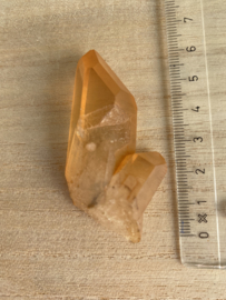 Tangerine Lemurian 5