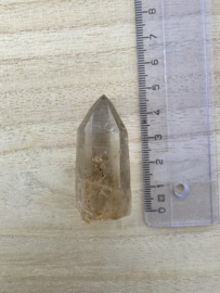 Citrien Lemurian 12