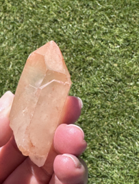 Peach Lemurian 6