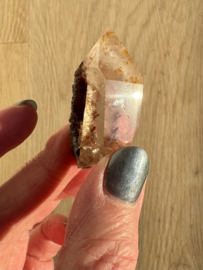 Lemurian (Red Coated) Dreamtime Healers 11