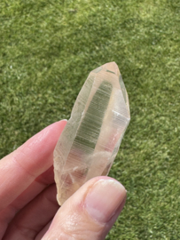 Golden Healer Lemurian 8