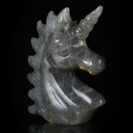 Labradoriet eenhoorn (ongeveer 5 cm)