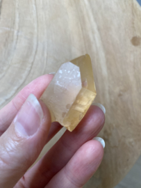 Tangerine Lemurian 25