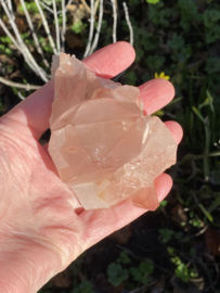 Pink Lemurian - cluster 2