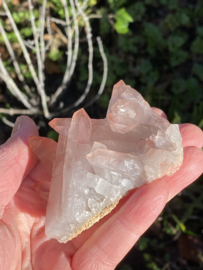 Pink Lemurian - cluster 3