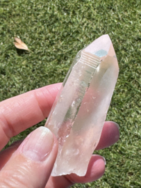 Peach Lemurian 5