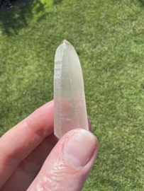 Golden Healer Lemurian 12 - dubbeleinder