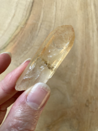 Tangerine Lemurian 10