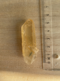 Tangerine Lemurian 15