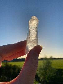 Lemurian Root / Code Keeper of Freedom 6