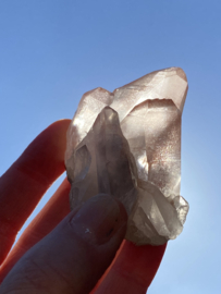 Pink Lemurian - cluster 4